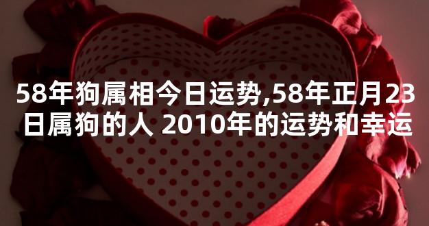 58年狗属相今日运势,58年正月23日属狗的人 2010年的运